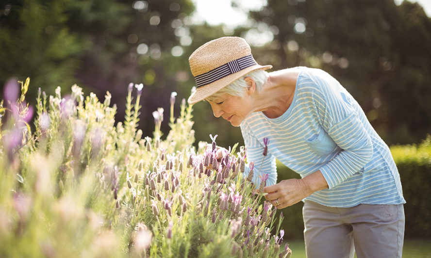 natural scents