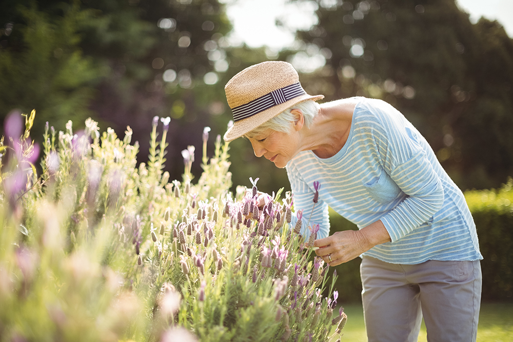 natural scents