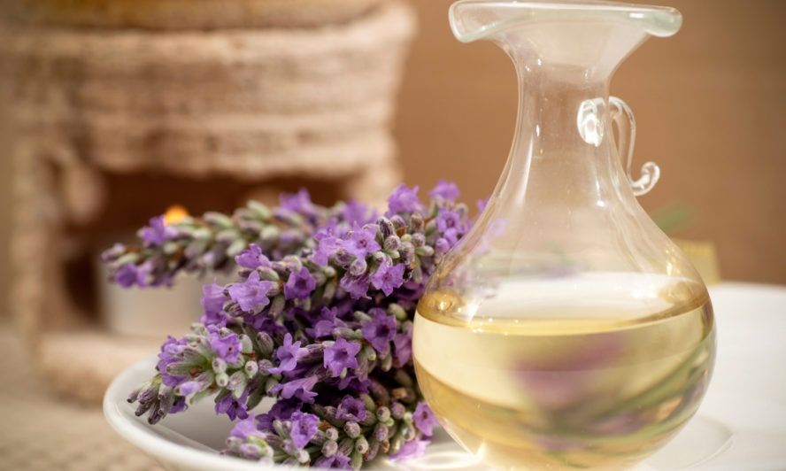 lavender essential oil